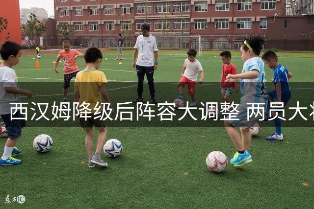 西汉姆降级后阵容大调整 两员大将恐遭清洗